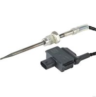 Sensor, Abgastemperatur