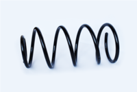 Arc spiral ASAM AUTOMOTIVE, Cod: 73739
