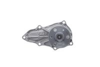 Wasserpumpe, Motorkühlung