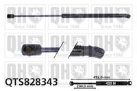 Gasfeder, Koffer-/Laderaum