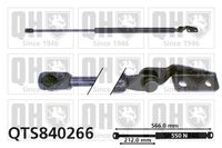 Gasfeder, Koffer-/Laderaum