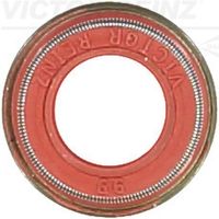 Dichtring, Ventilschaft