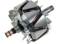 Rotor, alternator
