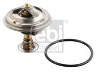 Thermostat, Kühlmittel