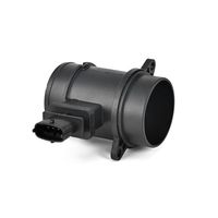 DELPHI Luchtmassameter 4