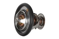 Thermostat, Kühlmittel