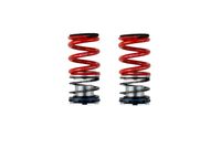 Σετ ανάρτησης, ελατήρια/αμορτισέ BILSTEIN - EVO R