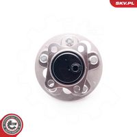 Article Picture