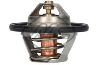 термостат, охладителна течност