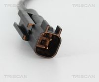 Article Picture
