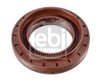 Gasket, differential