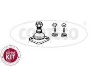 Trag-/Führungsgelenk