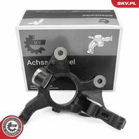 Steering Knuckle, wheel suspension