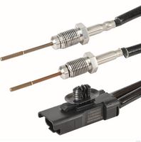 Sensor, Abgastemperatur