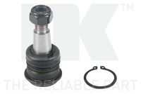 Trag-/Führungsgelenk