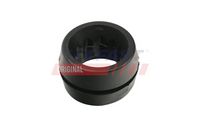 Spilvens, Gaisa filtrs FT13053 FAST