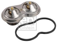 Thermostat, Kühlmittel