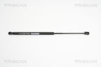 Gasfeder, Koffer-/Laderaum