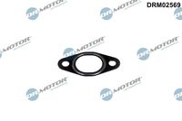 Blīve, EGR vārsta cauruļvads DRM02569 Dr