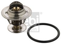 Thermostat, Kühlmittel