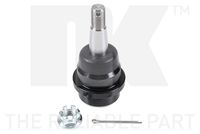 Trag-/Führungsgelenk