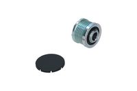 Alternator Freewheel Clutch