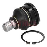 Pivot ASHIKA, Cod: 73-08-800