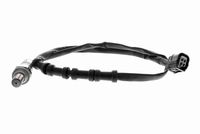 ламбда-сонда