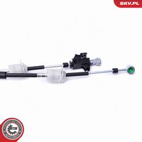 Article Picture