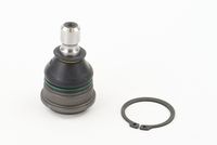 Trag-/Führungsgelenk