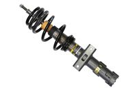 Σετ ανάρτησης, ελατήρια/αμορτισέ BILSTEIN - EVO S