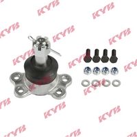 Trag-/Führungsgelenk