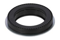 Wälzlager, Federbeinstützlager