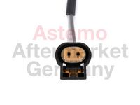 Sensor, Abgastemperatur