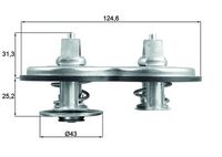 Thermostat, Kühlmittel