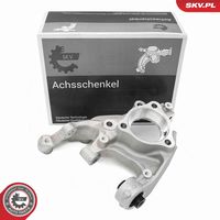 Steering Knuckle, wheel suspension