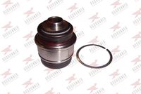 тампон, носач