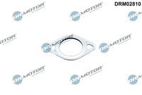 Blīve, EGR vārsta cauruļvads DRM02810 Dr