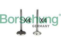 Ventilsatz, Einlass-/Auslassventil