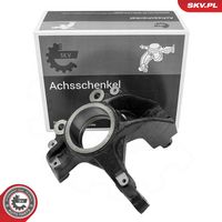 Steering Knuckle, wheel suspension