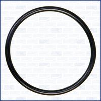 INEL DE ETANșARE CARCASă TERMOSTAT