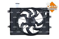 Article Picture