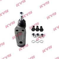 Trag-/Führungsgelenk