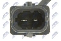 Article Picture