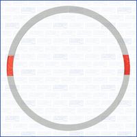 DICHTUNG ZYLINDERLAUFBUCHSE