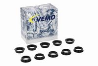 Article Picture