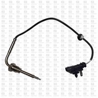 Sensor, Abgastemperatur