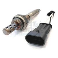 ламбда-сонда