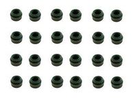 Dichtungssatz, Ventilschaft