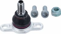 Article Picture